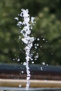 Photo by Scott Bailey