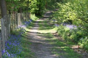 Photo by Scott Bailey