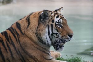 Photo by Scott Bailey