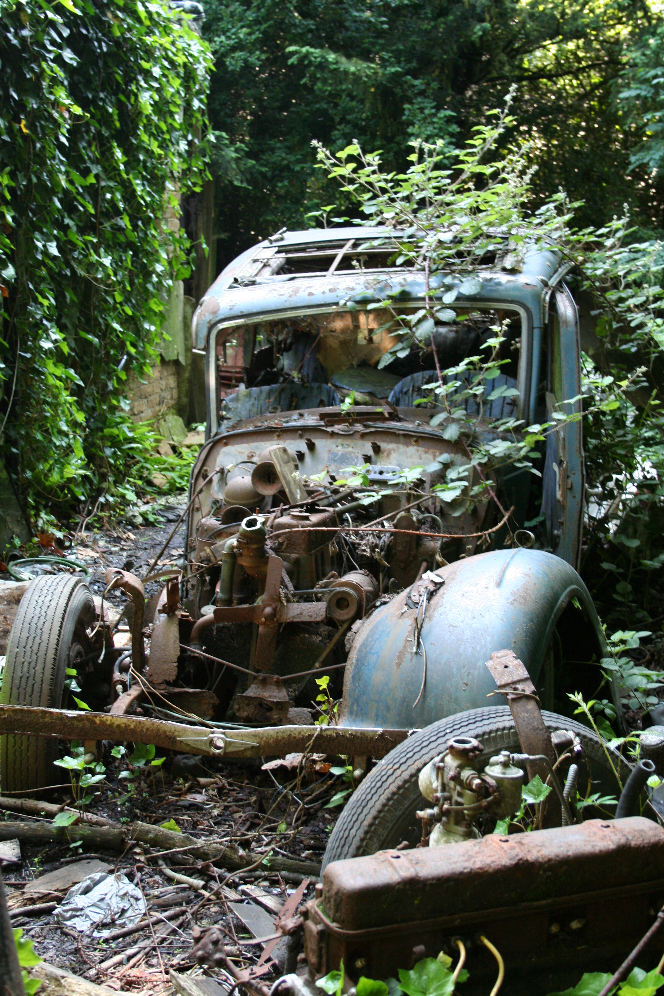 Car Reclaimed by Nature